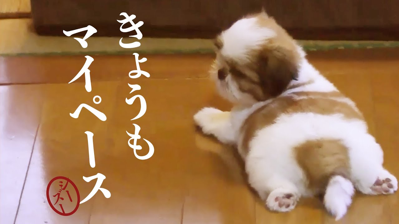 画像追加のレシピ